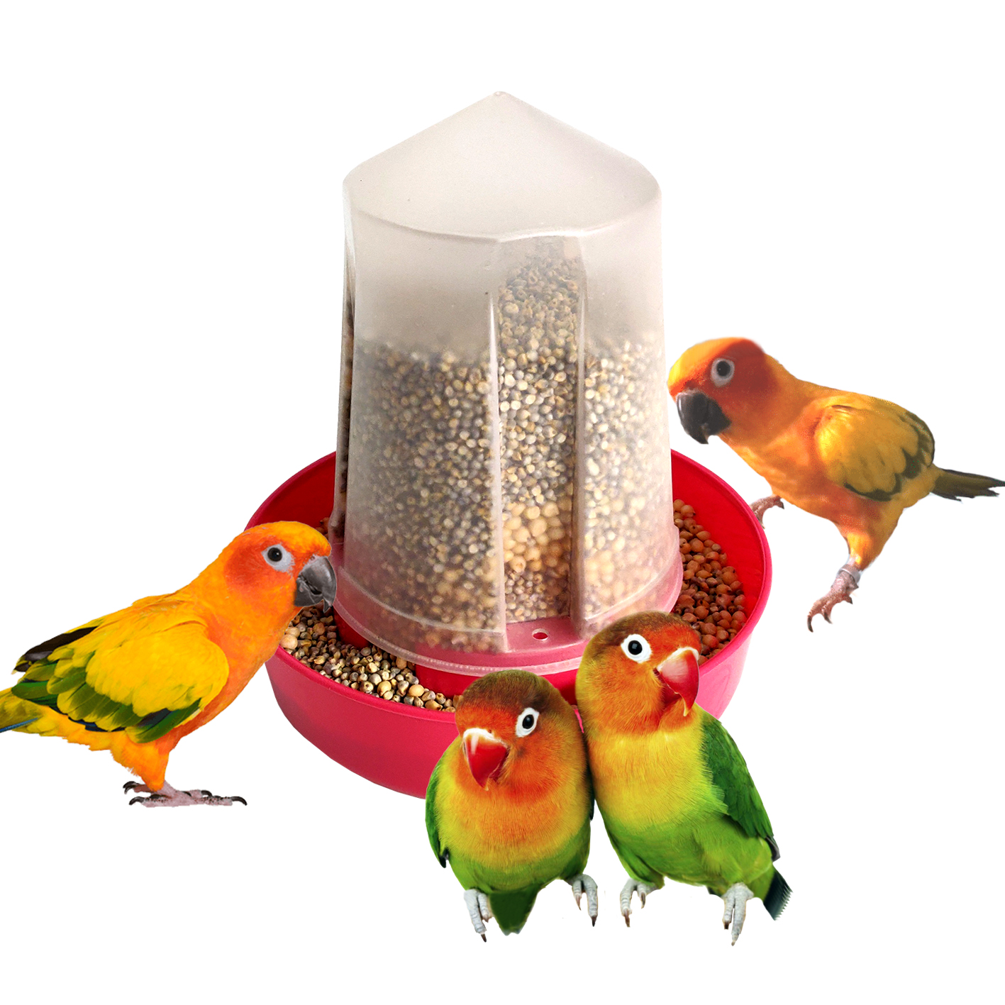 EasyFeed – Bird Feeder cum Water Dispenser (Pack of 2) for domestic and wild birds – Made in India